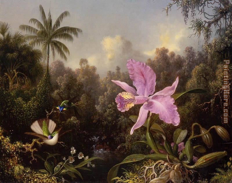 Martin Johnson Heade Orchid and Two Hummingburds
